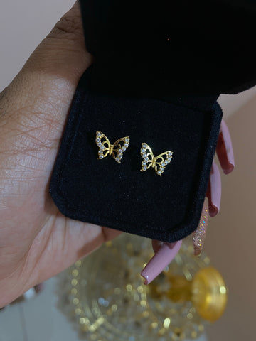 Exquisite butterfly studs
